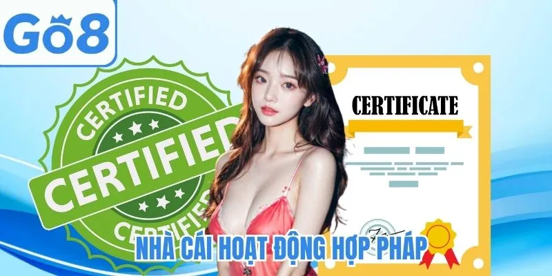 Đảm bảo hợp pháp trong mọi quy trình 